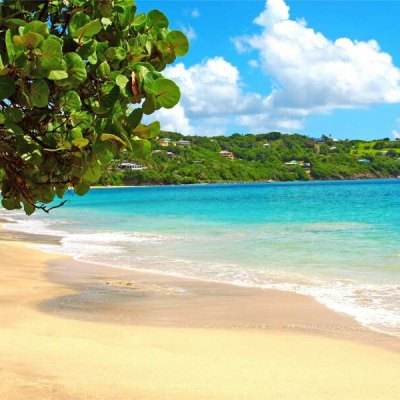 猝死为何发生？疲惫时别硬扛